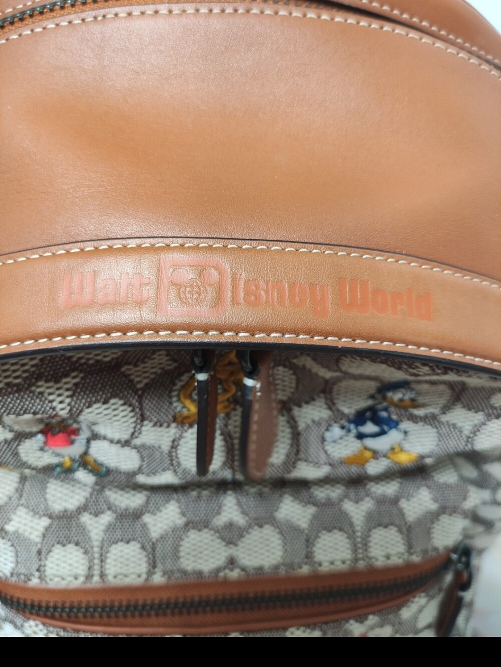 Disney X Coach C8490 Charter Backpack In Signature Textile Jacquard - Picture 10 of 12
